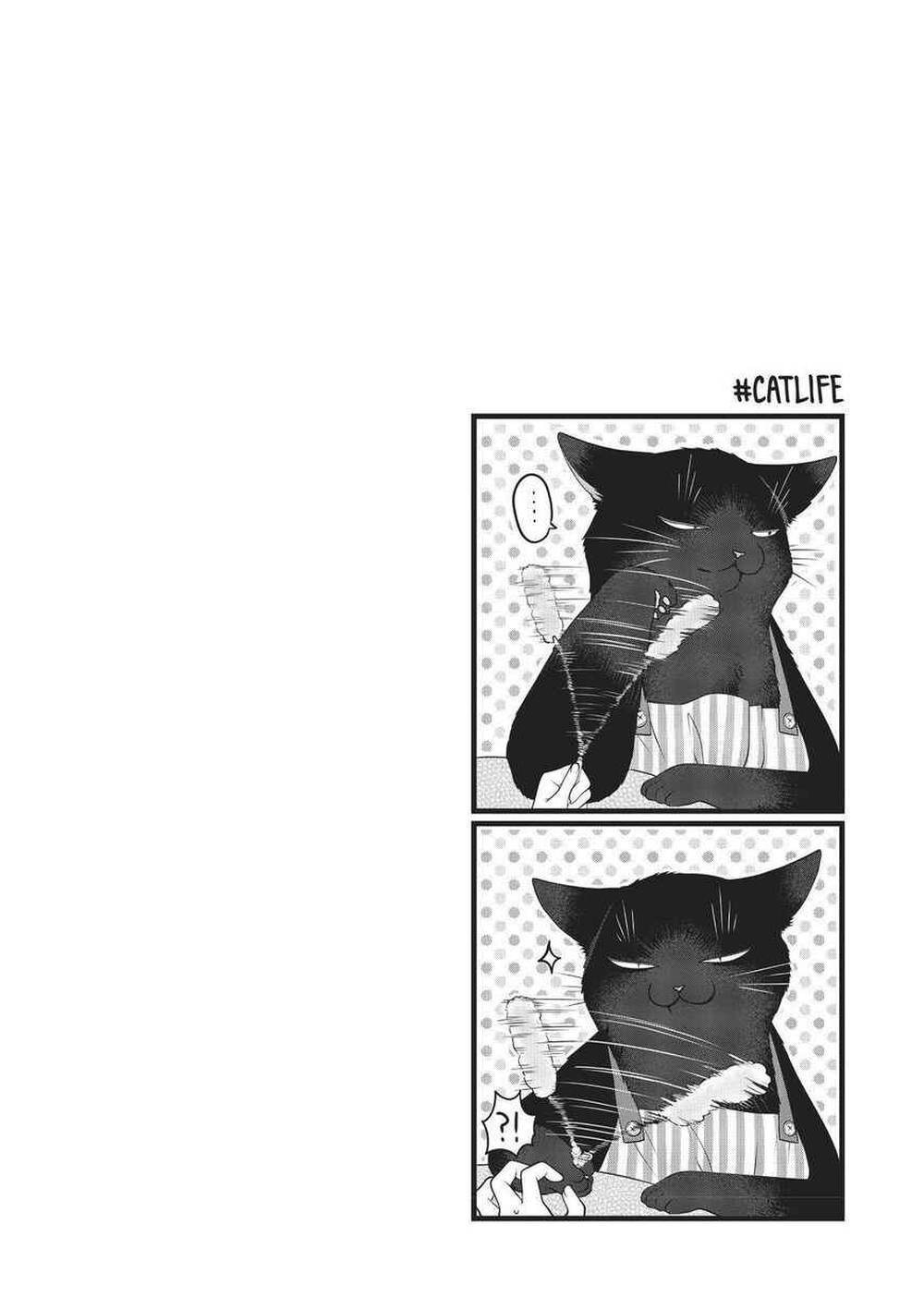 
              The Masterful Cat Is Depressed Again Today             Chapter 25