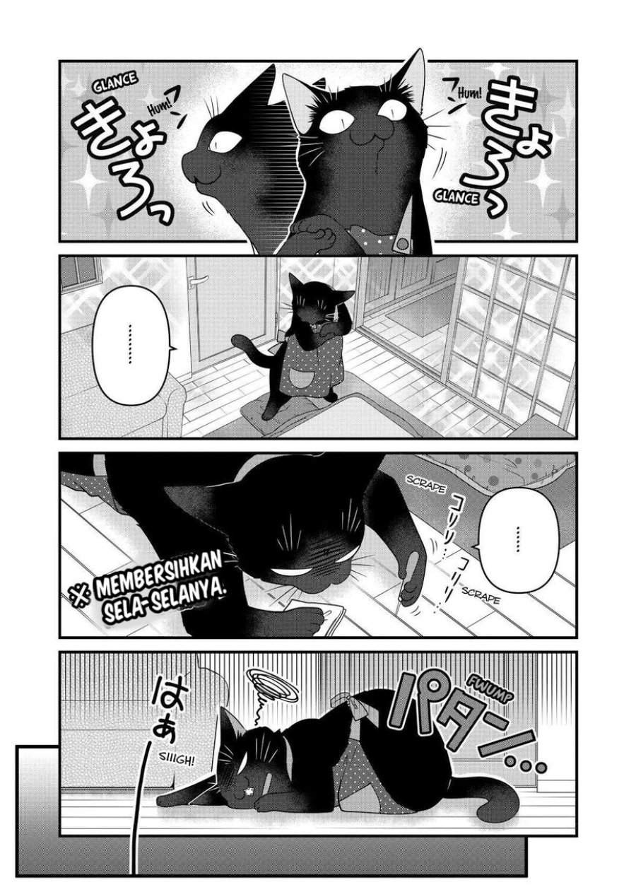 
              The Masterful Cat Is Depressed Again Today             Chapter 67