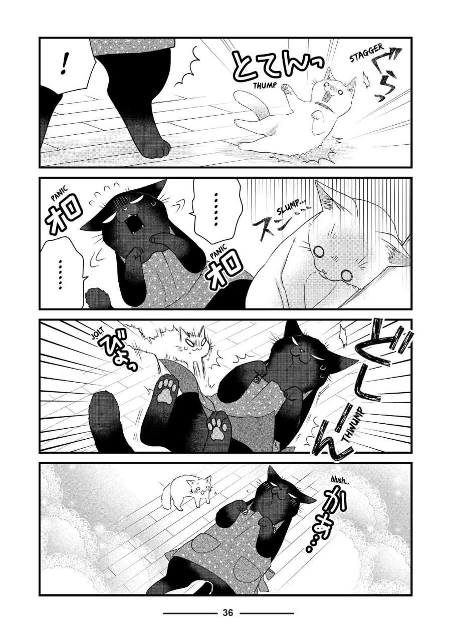 
              The Masterful Cat Is Depressed Again Today             Chapter 74