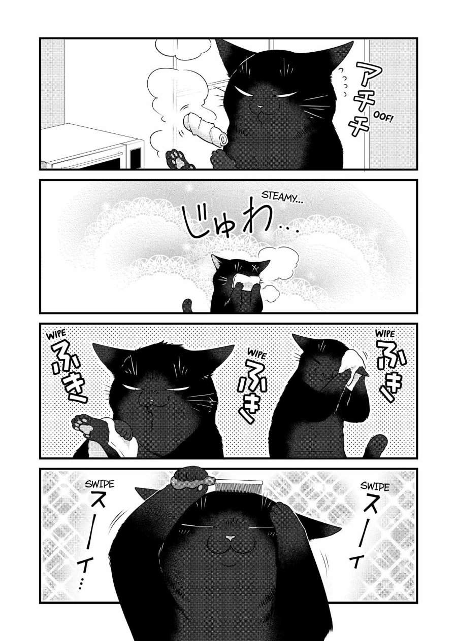 
              The Masterful Cat Is Depressed Again Today             Chapter 75