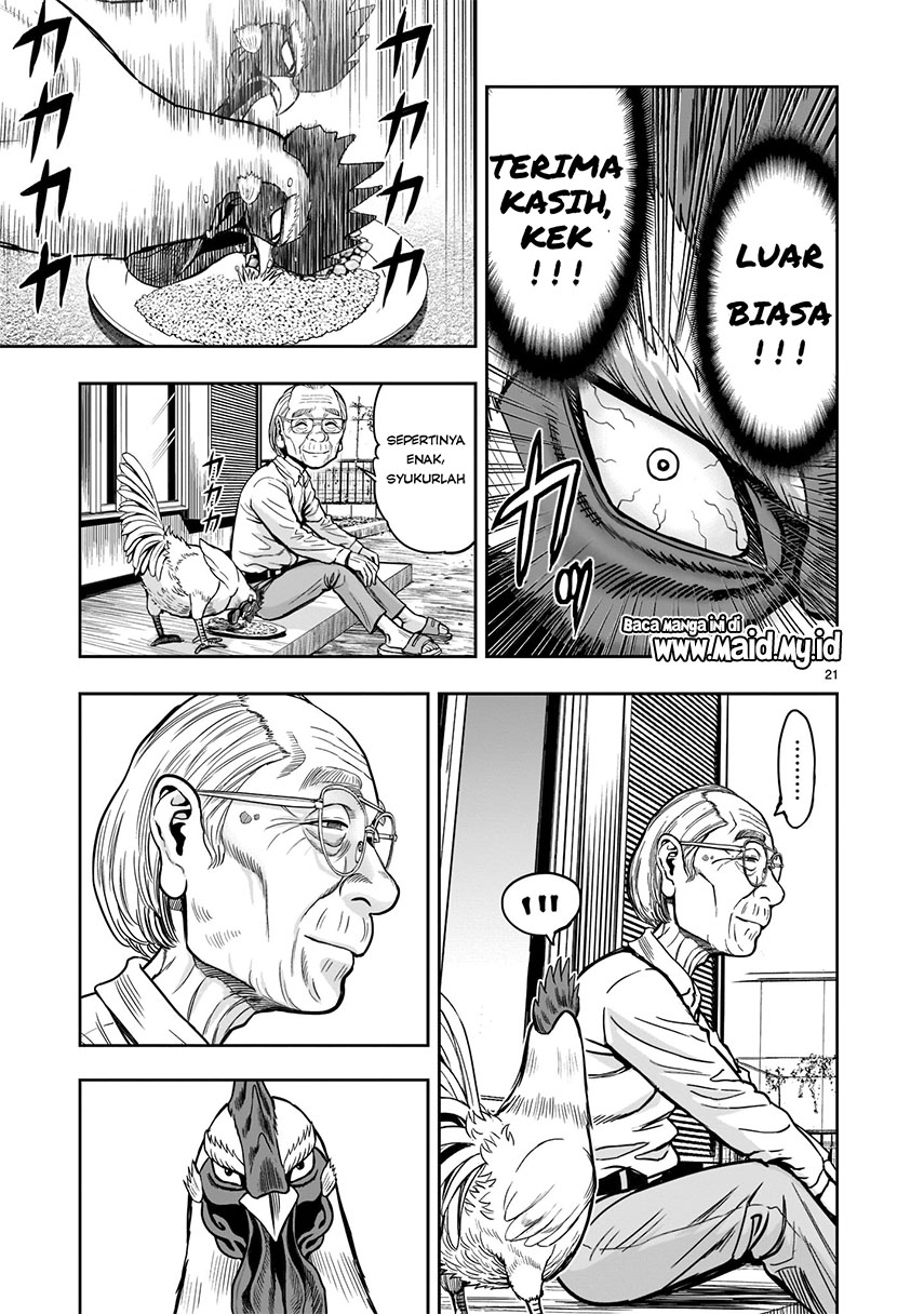 Rooster Fighter Chapter 01