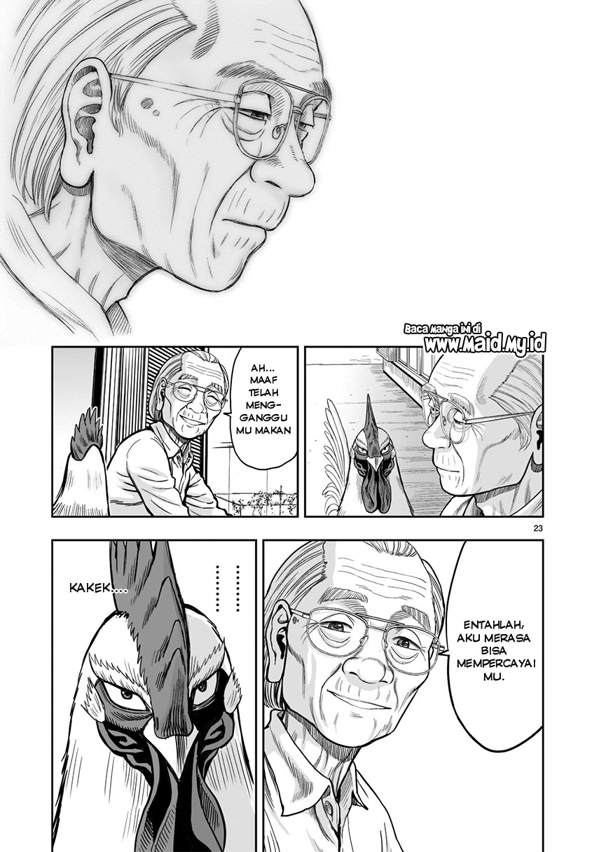 Rooster Fighter Chapter 01
