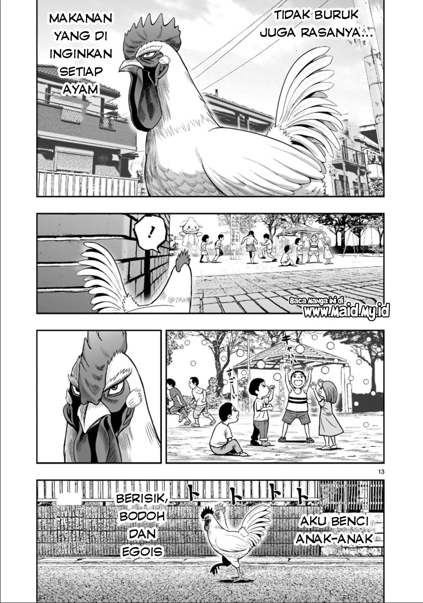 Rooster Fighter Chapter 01