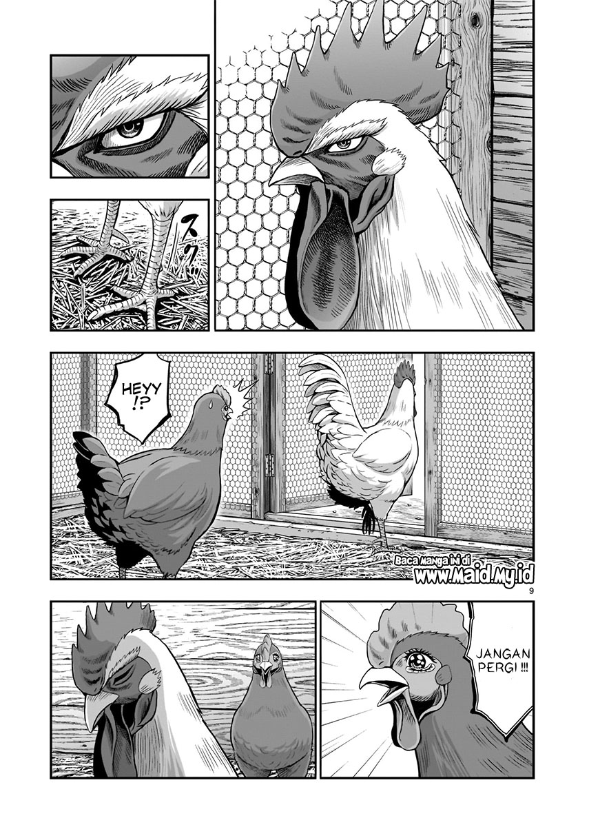 Rooster Fighter Chapter 01