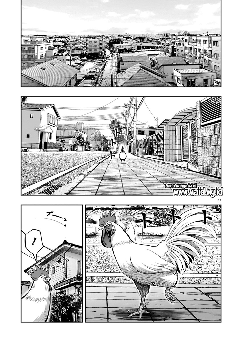 Rooster Fighter Chapter 01