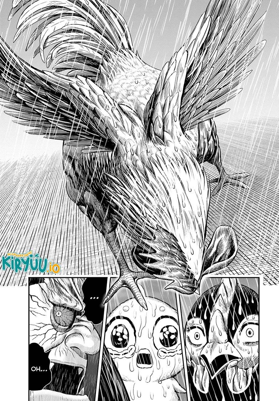 Rooster Fighter Chapter 14