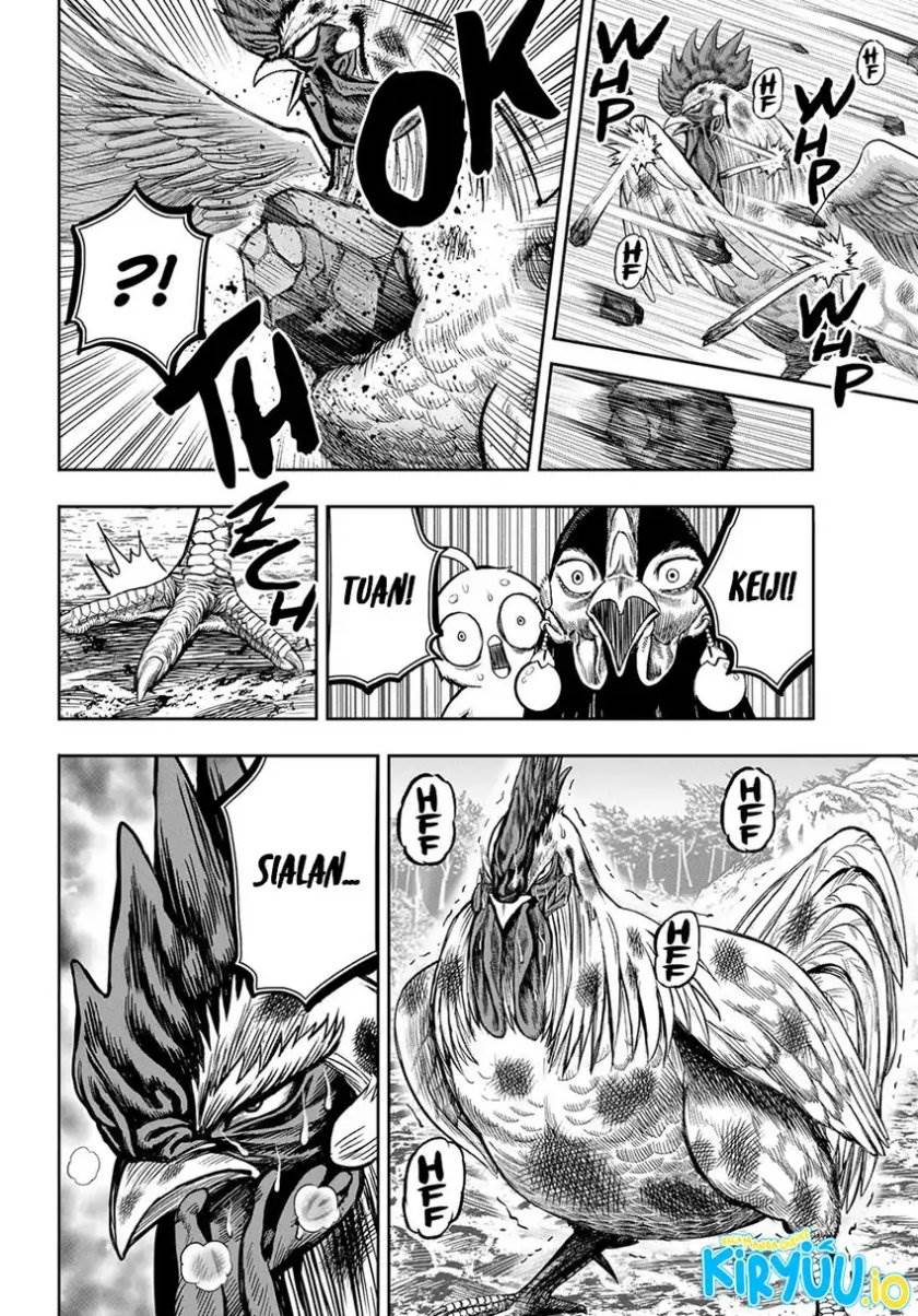 Rooster Fighter Chapter 15