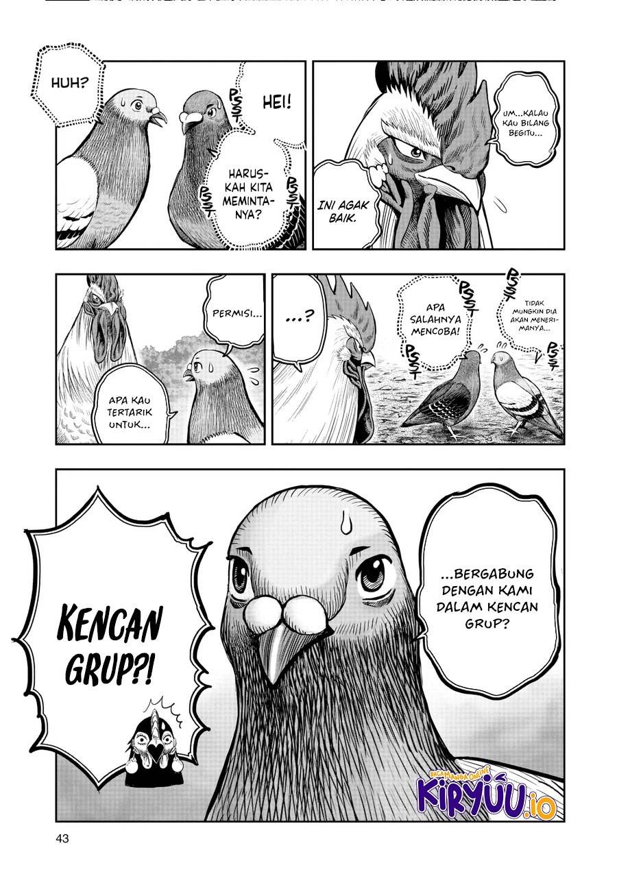 Rooster Fighter Chapter 17