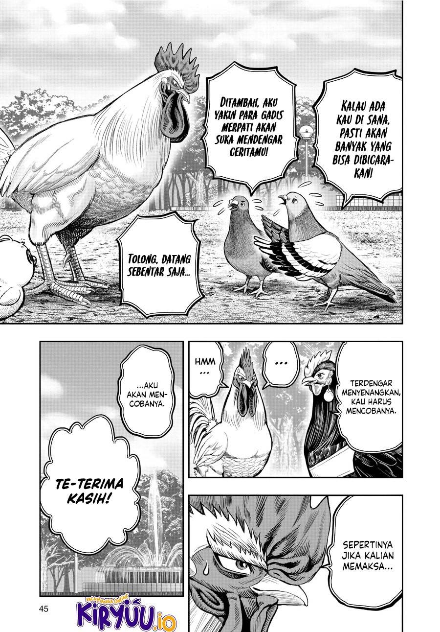 Rooster Fighter Chapter 17