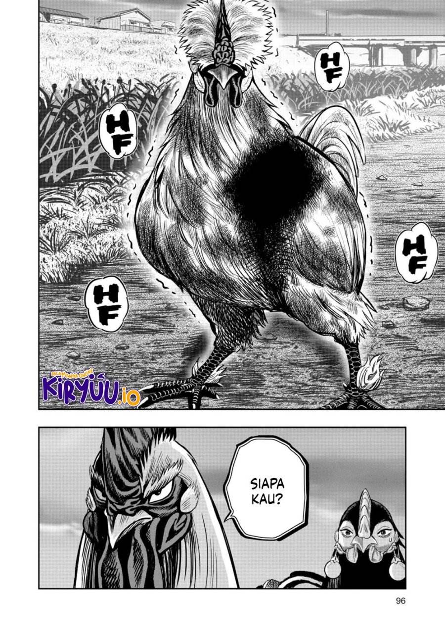 Rooster Fighter Chapter 18