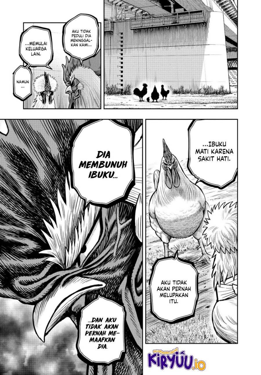 Rooster Fighter Chapter 19