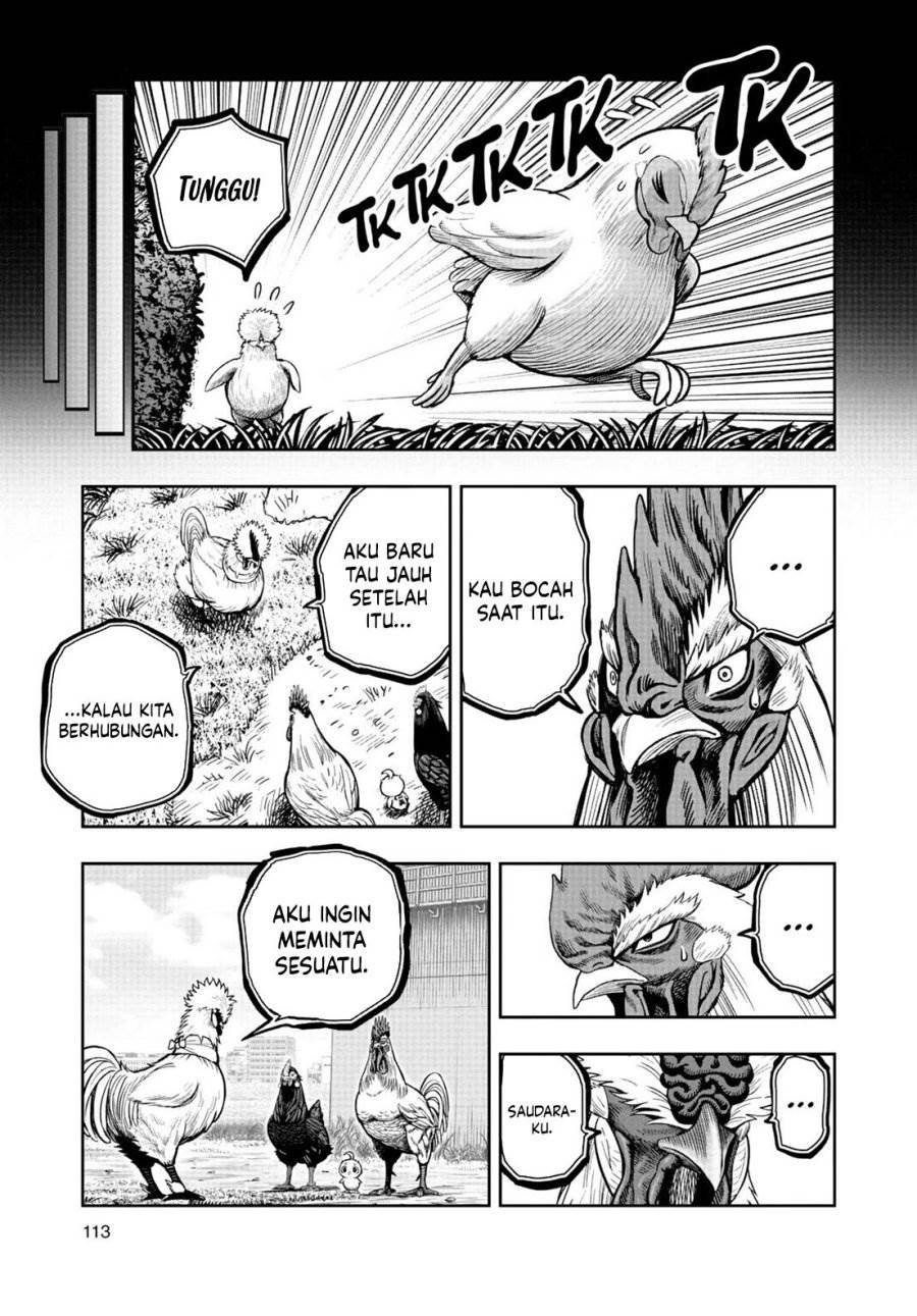 Rooster Fighter Chapter 19