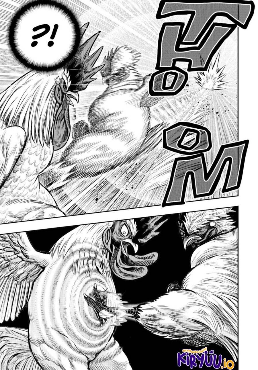 Rooster Fighter Chapter 19