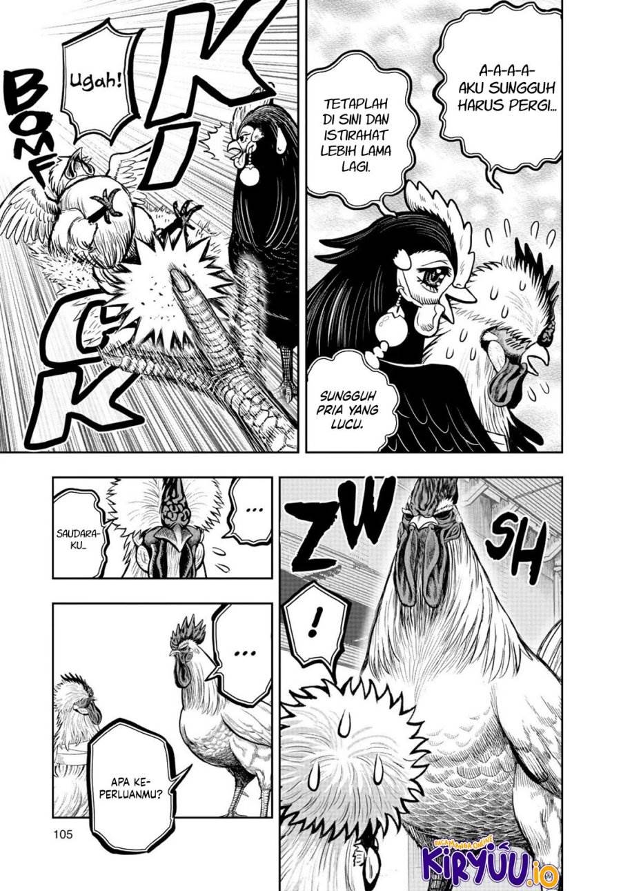 Rooster Fighter Chapter 19