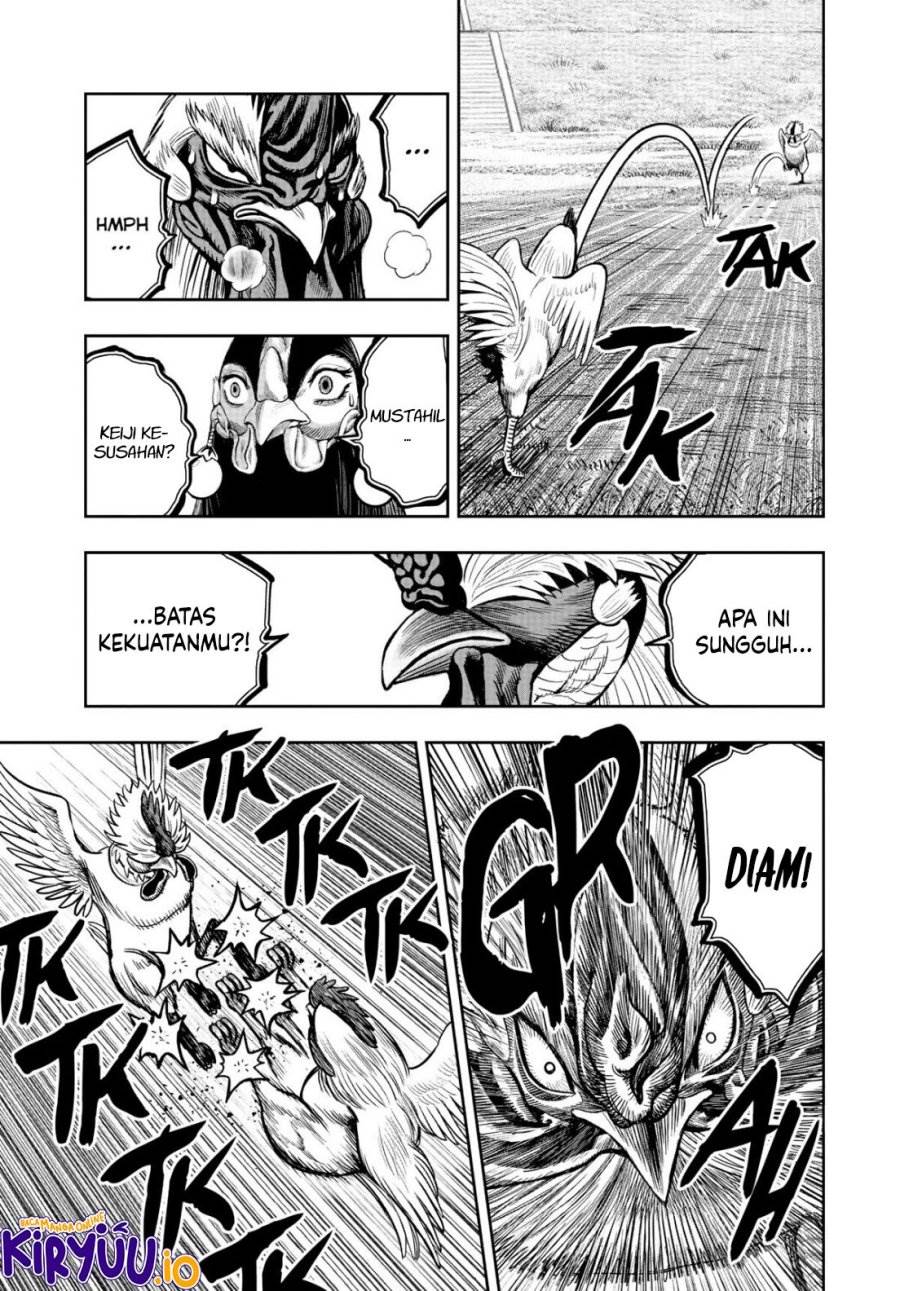 Rooster Fighter Chapter 19