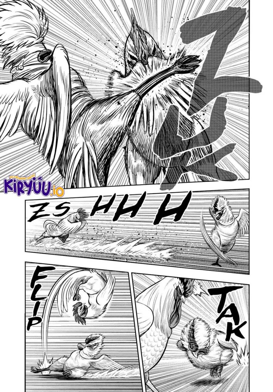 Rooster Fighter Chapter 19