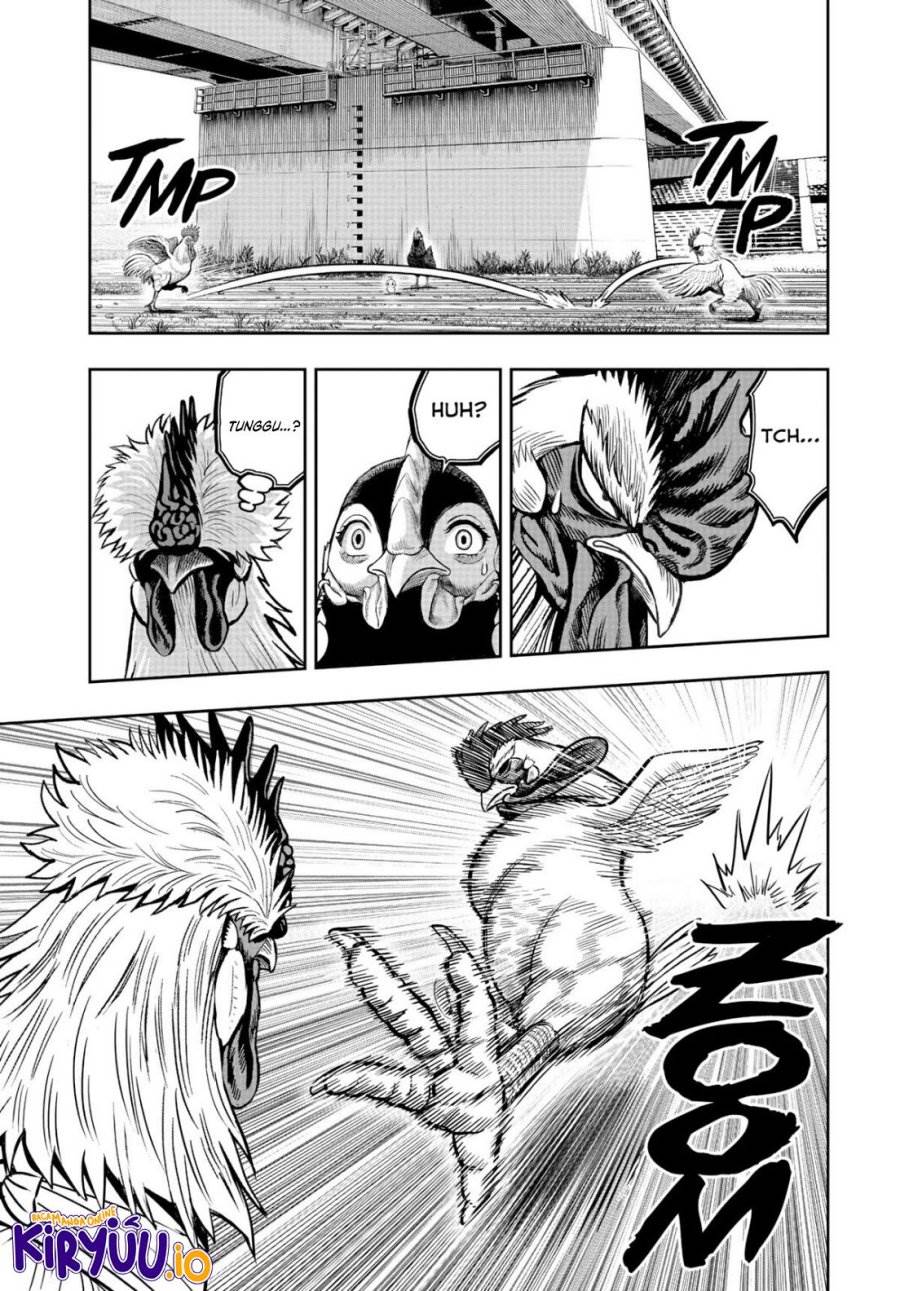 Rooster Fighter Chapter 19
