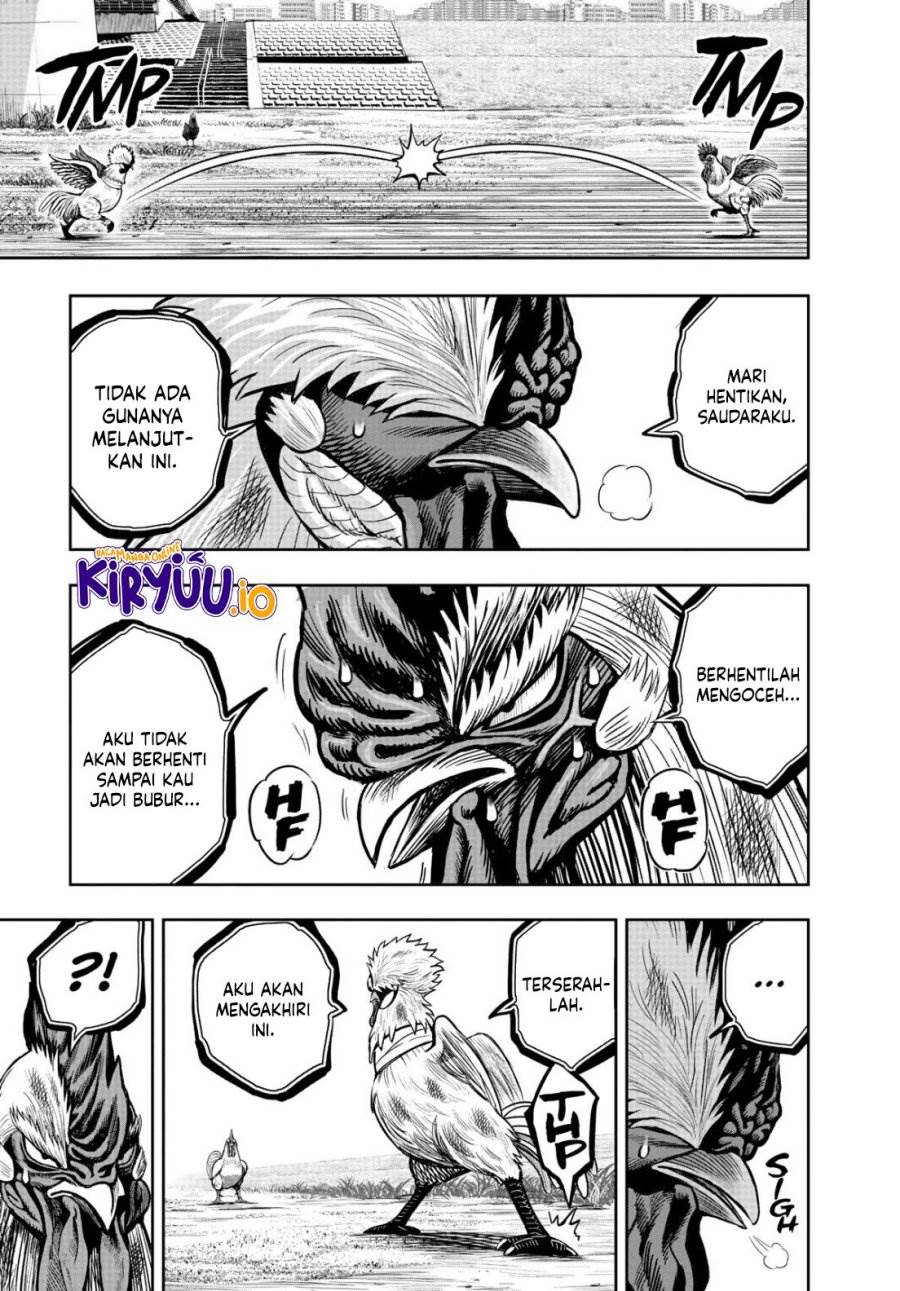Rooster Fighter Chapter 19