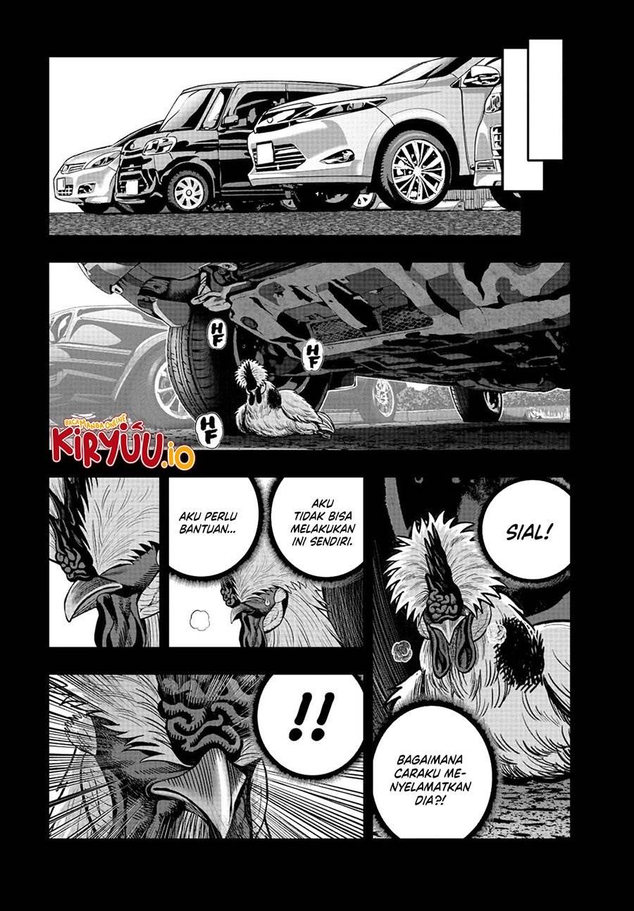 Rooster Fighter Chapter 20