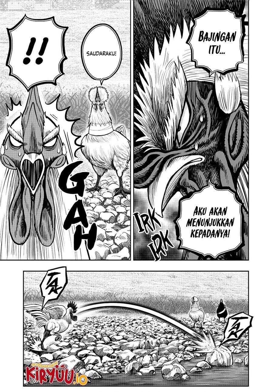 Rooster Fighter Chapter 20