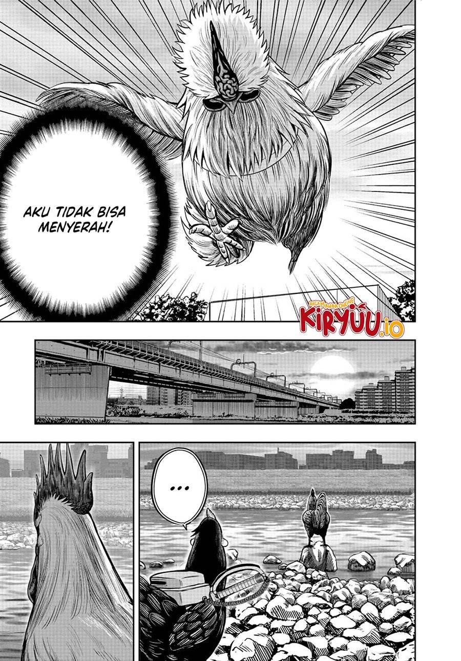 Rooster Fighter Chapter 20