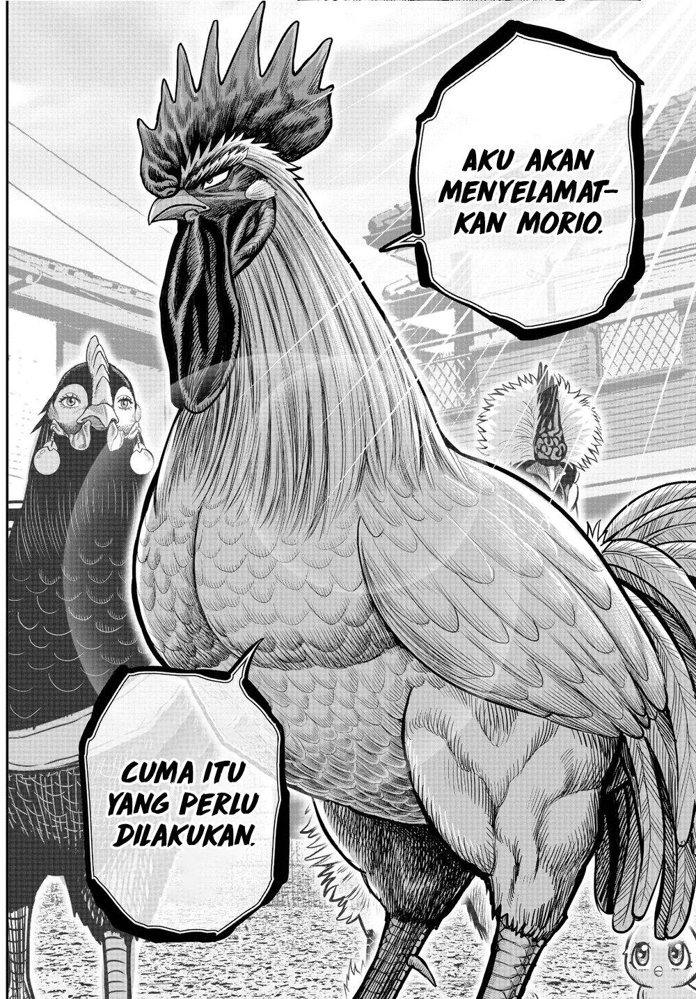 Rooster Fighter Chapter 21