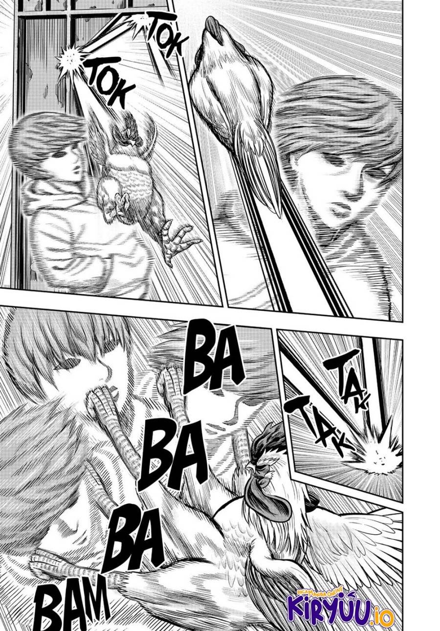 Rooster Fighter Chapter 22