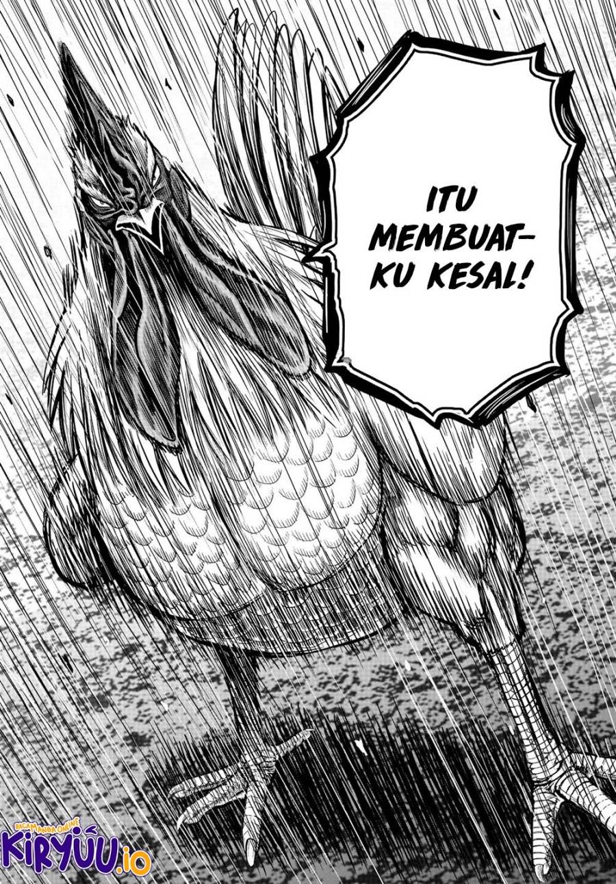 Rooster Fighter Chapter 22