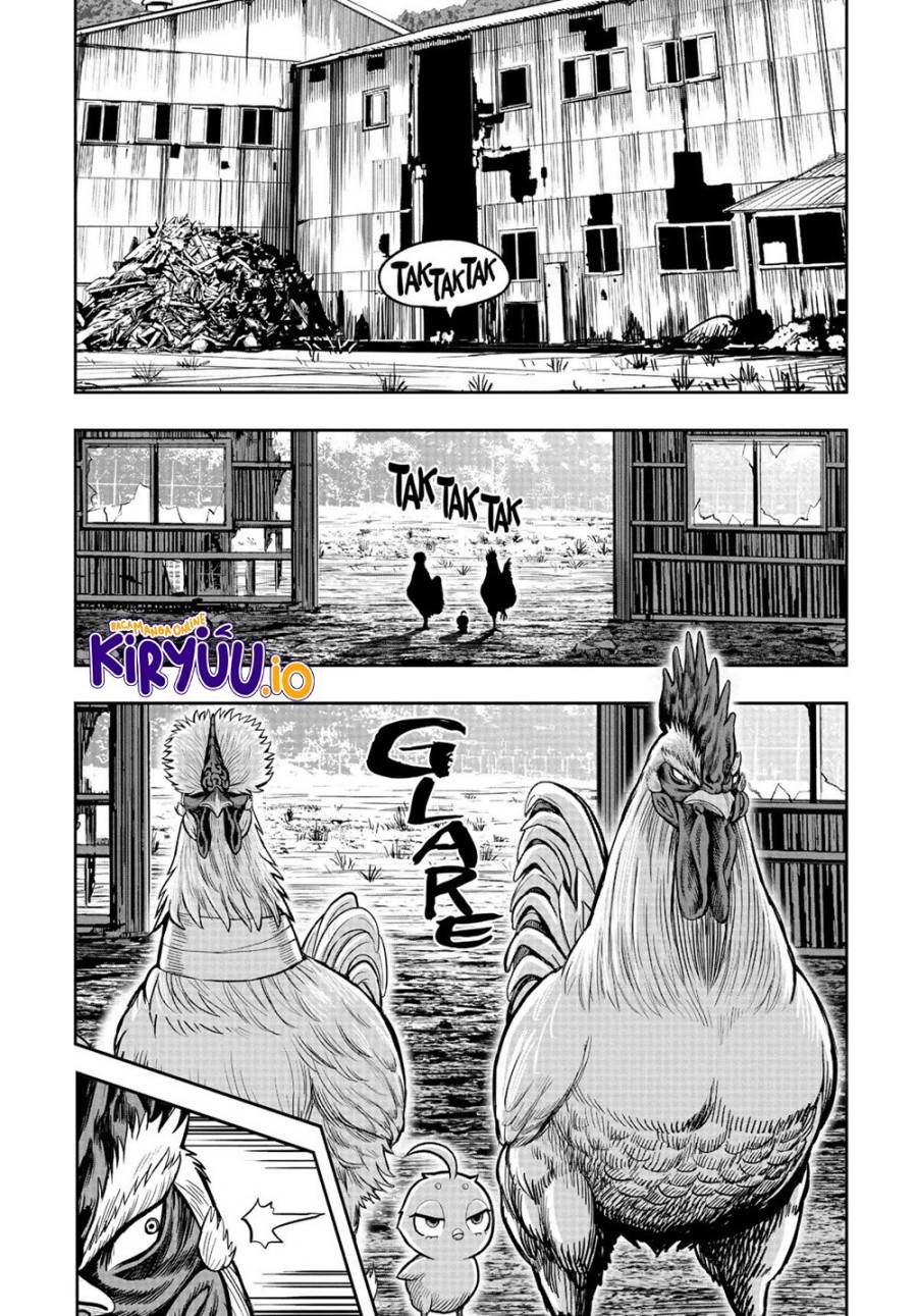 Rooster Fighter Chapter 22