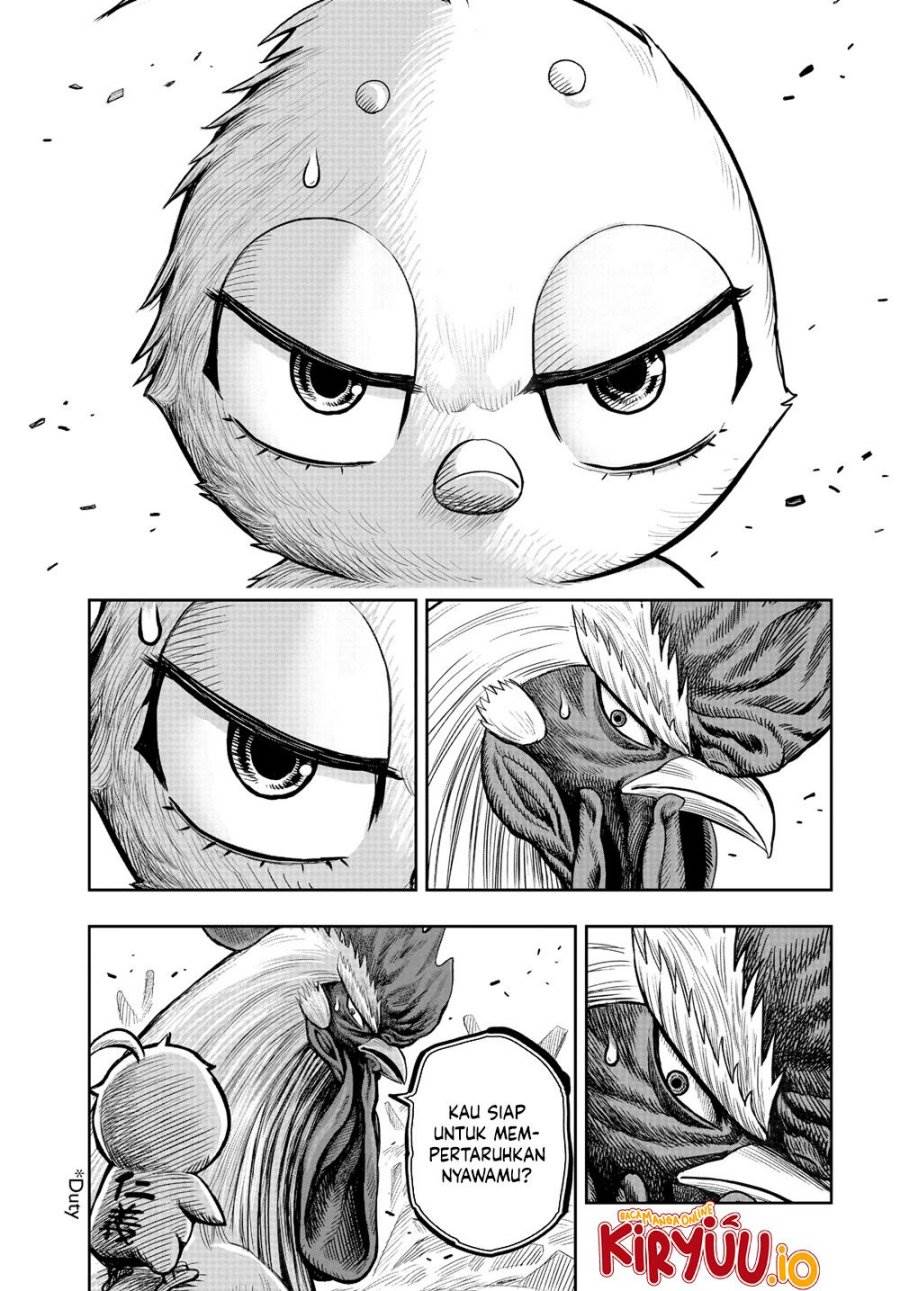 Rooster Fighter Chapter 23