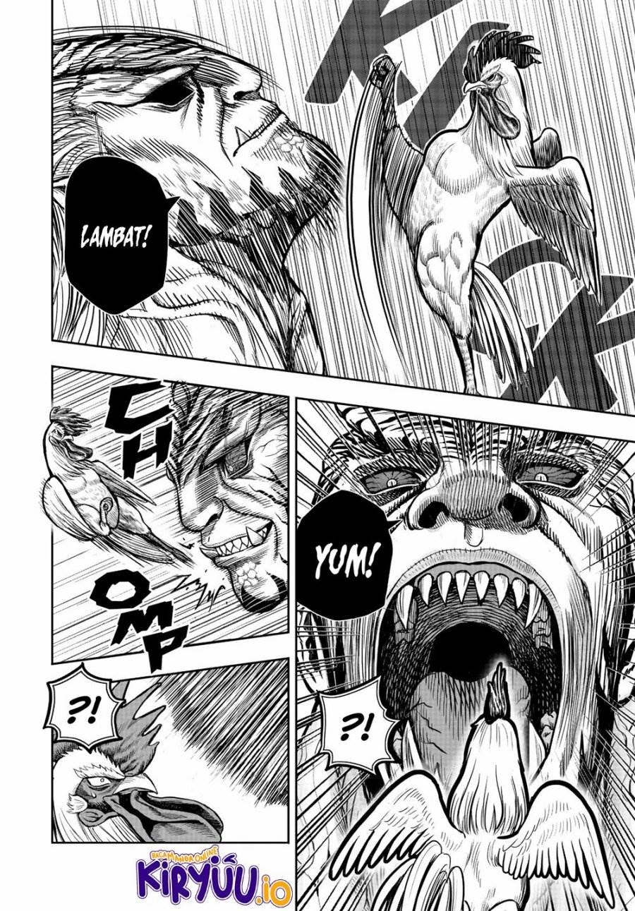 Rooster Fighter Chapter 24