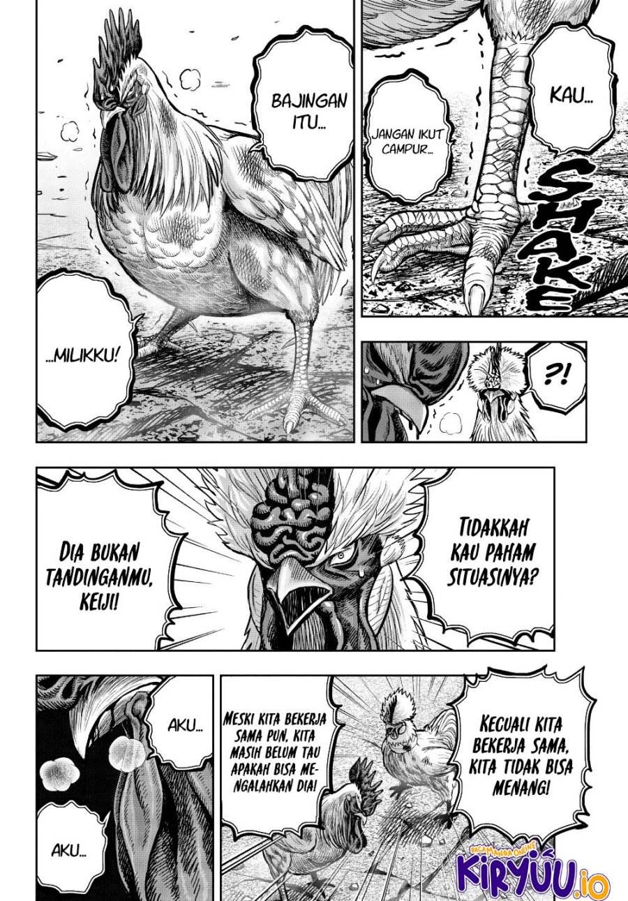 Rooster Fighter Chapter 24