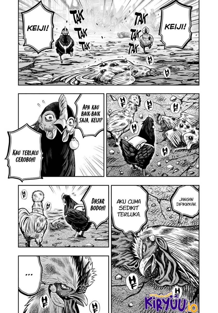 Rooster Fighter Chapter 25