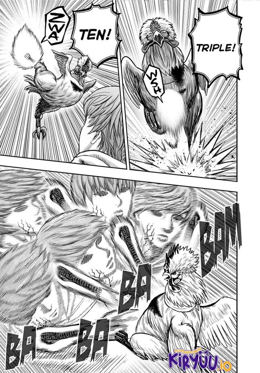 Rooster Fighter Chapter 26
