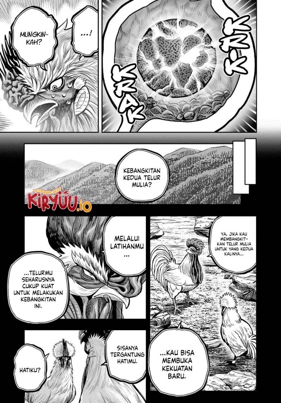 Rooster Fighter Chapter 27