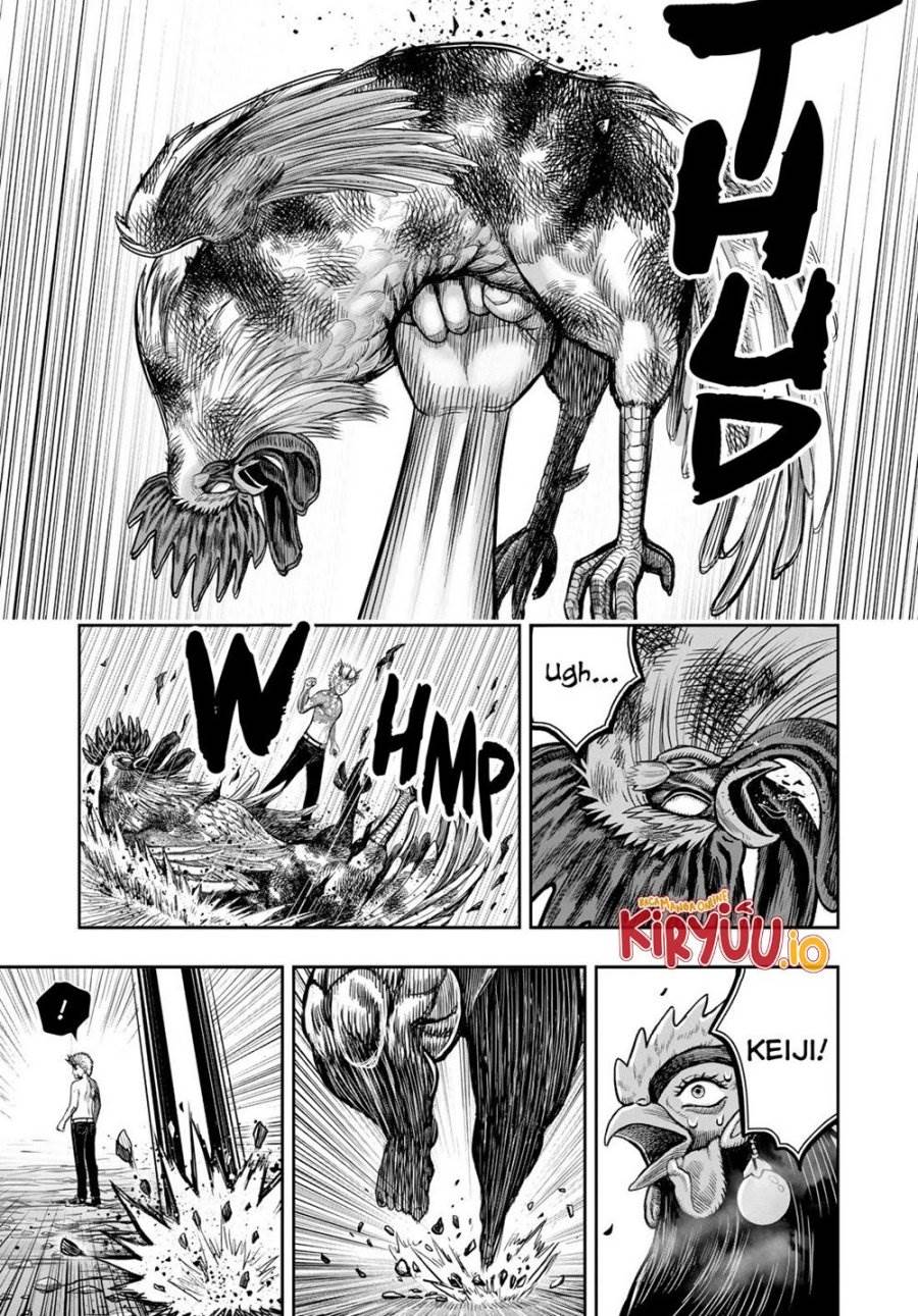 Rooster Fighter Chapter 27
