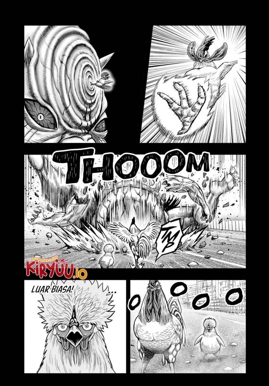 Rooster Fighter Chapter 27