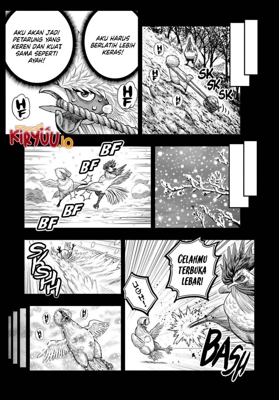 Rooster Fighter Chapter 27