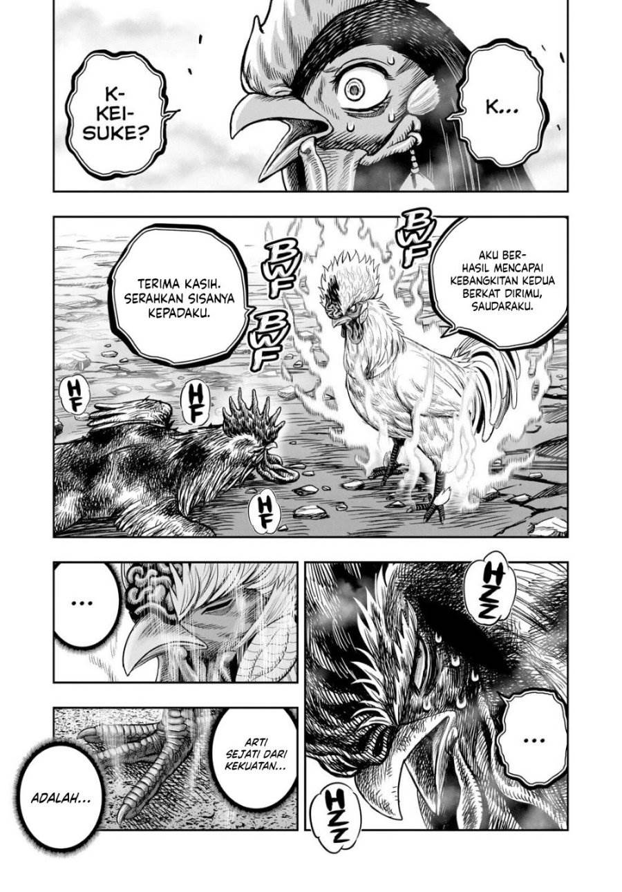 Rooster Fighter Chapter 27