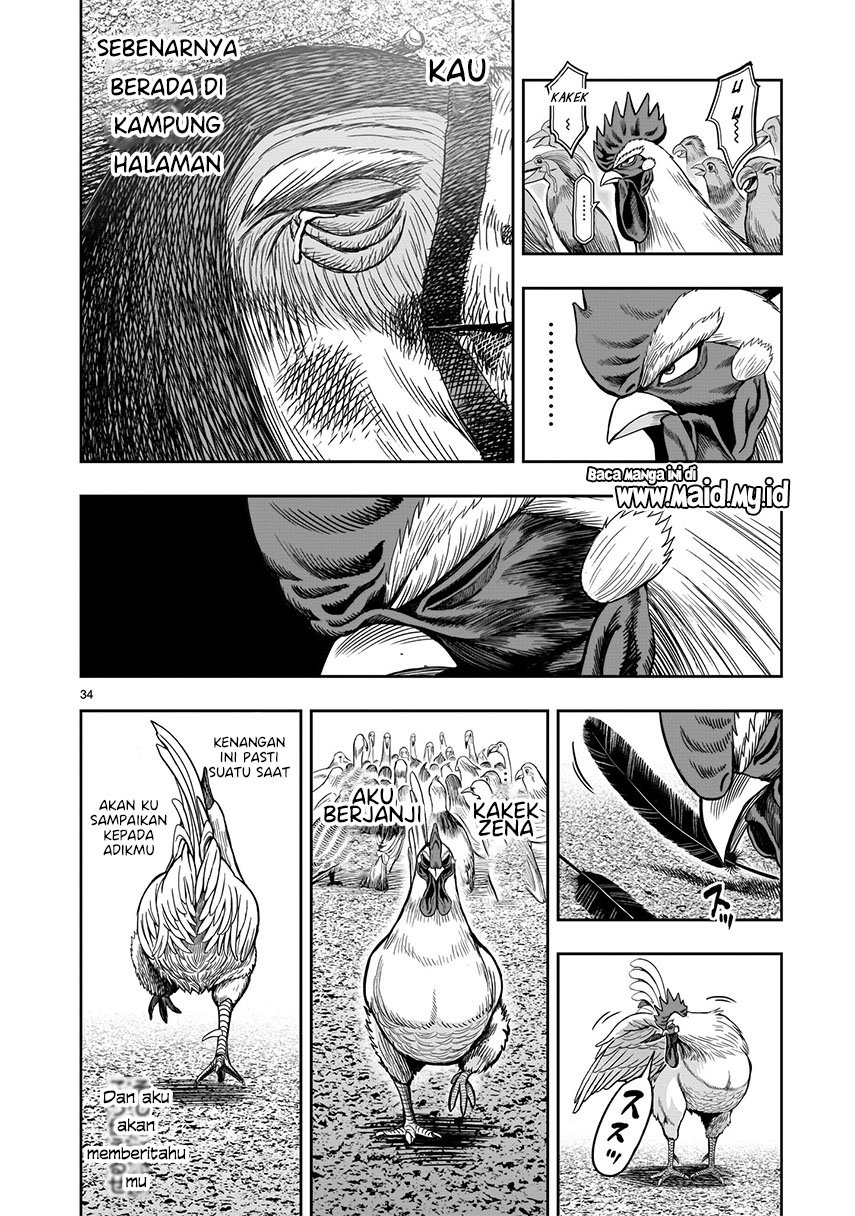 Rooster Fighter Chapter 03