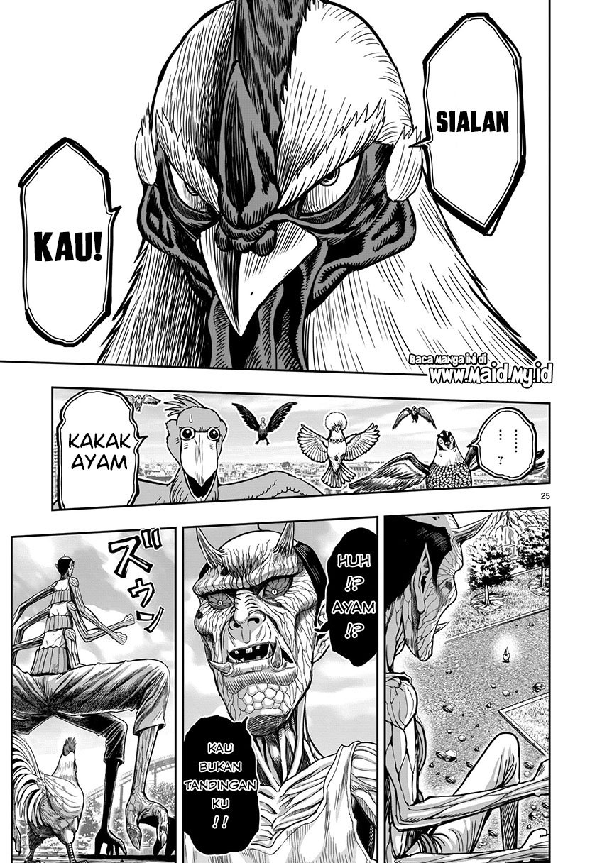 Rooster Fighter Chapter 03
