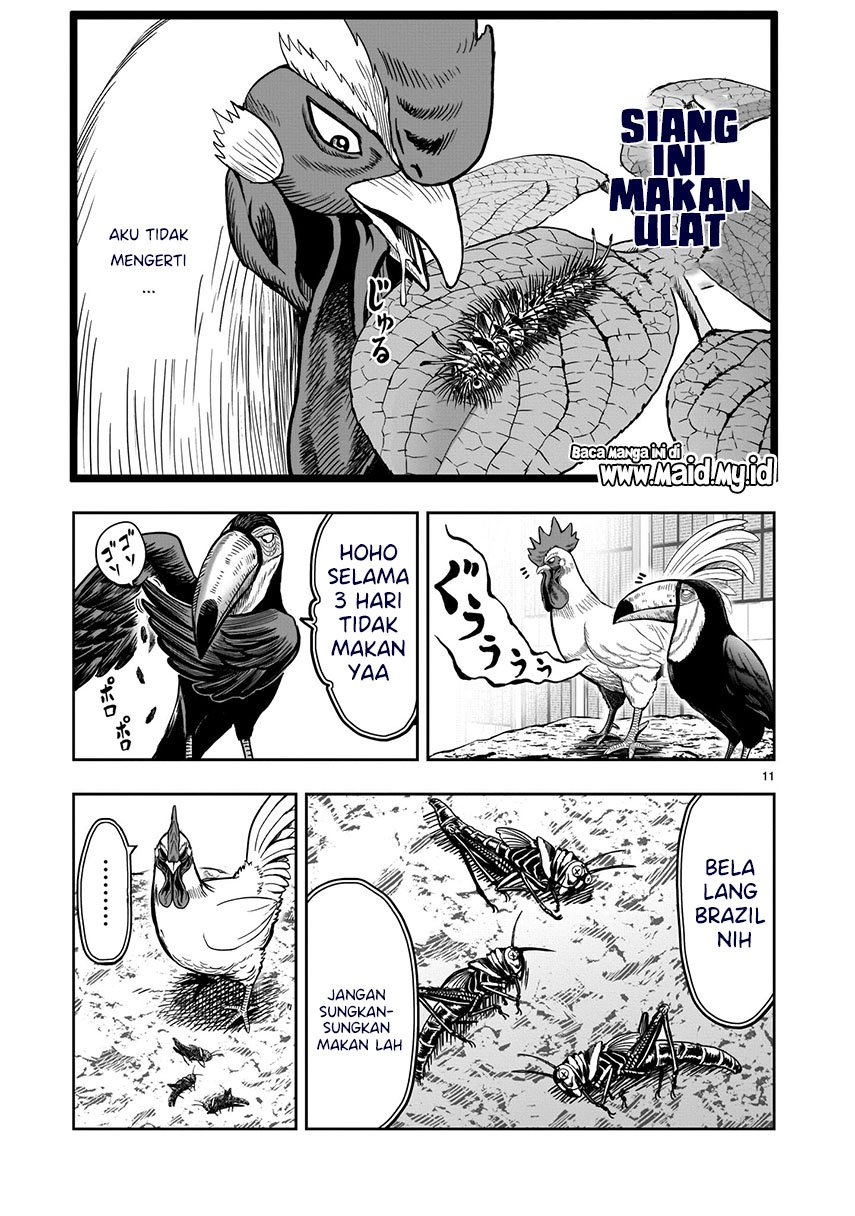 Rooster Fighter Chapter 03