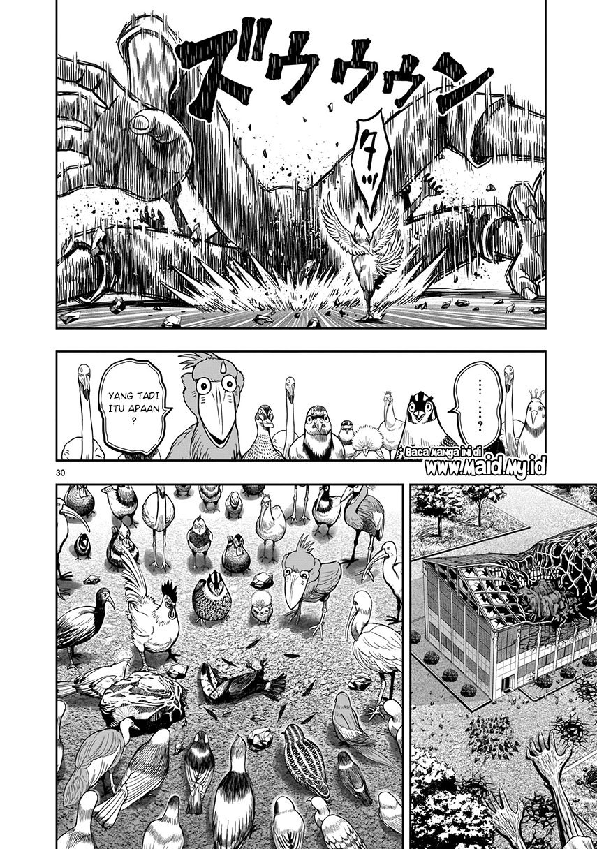 Rooster Fighter Chapter 03