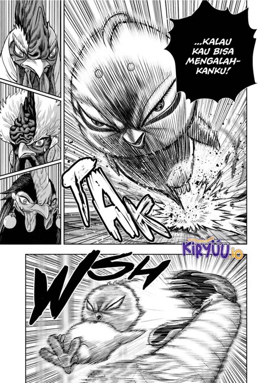 Rooster Fighter Chapter 33