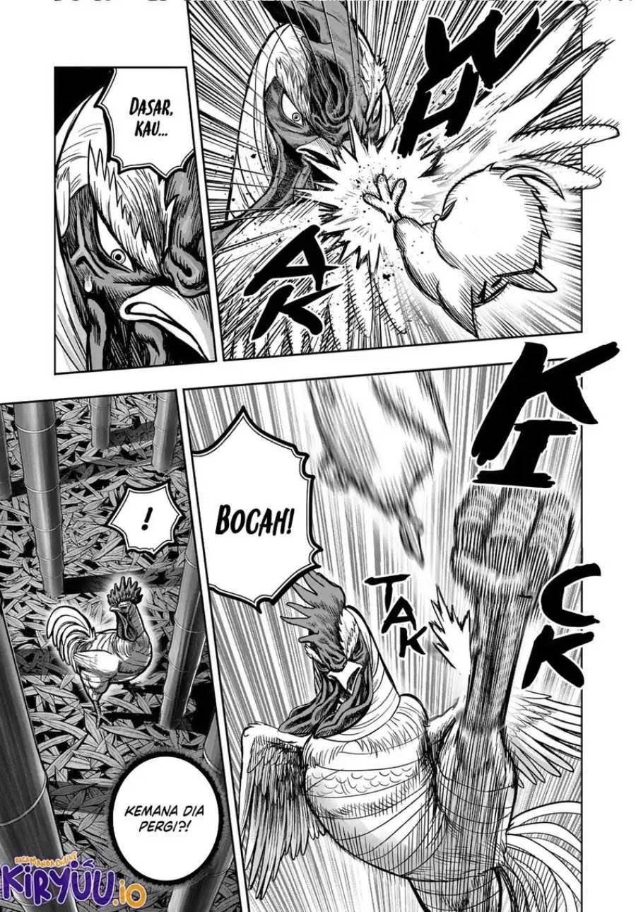 Rooster Fighter Chapter 33