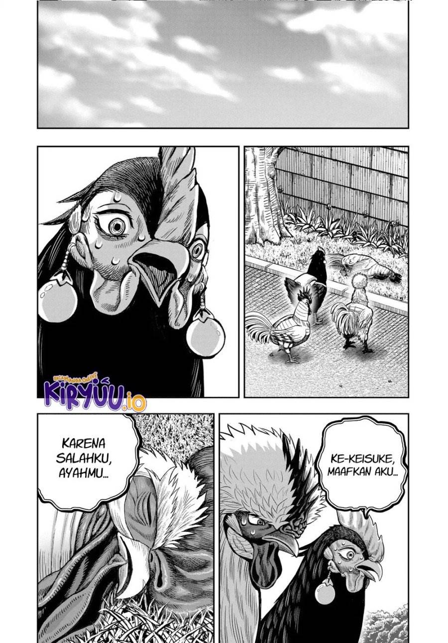 Rooster Fighter Chapter 34