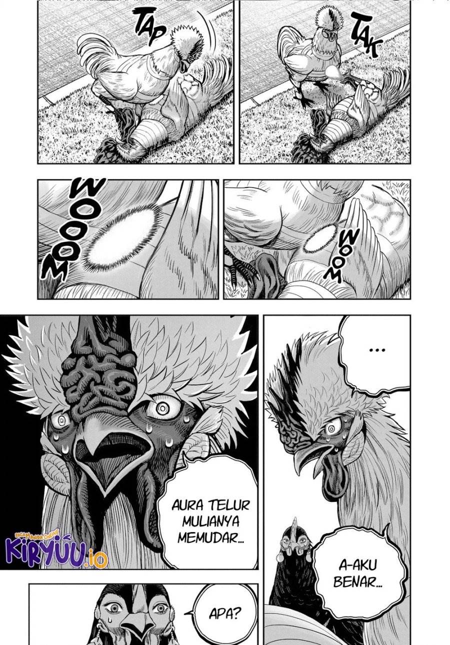 Rooster Fighter Chapter 34