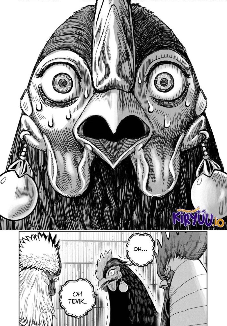 Rooster Fighter Chapter 34