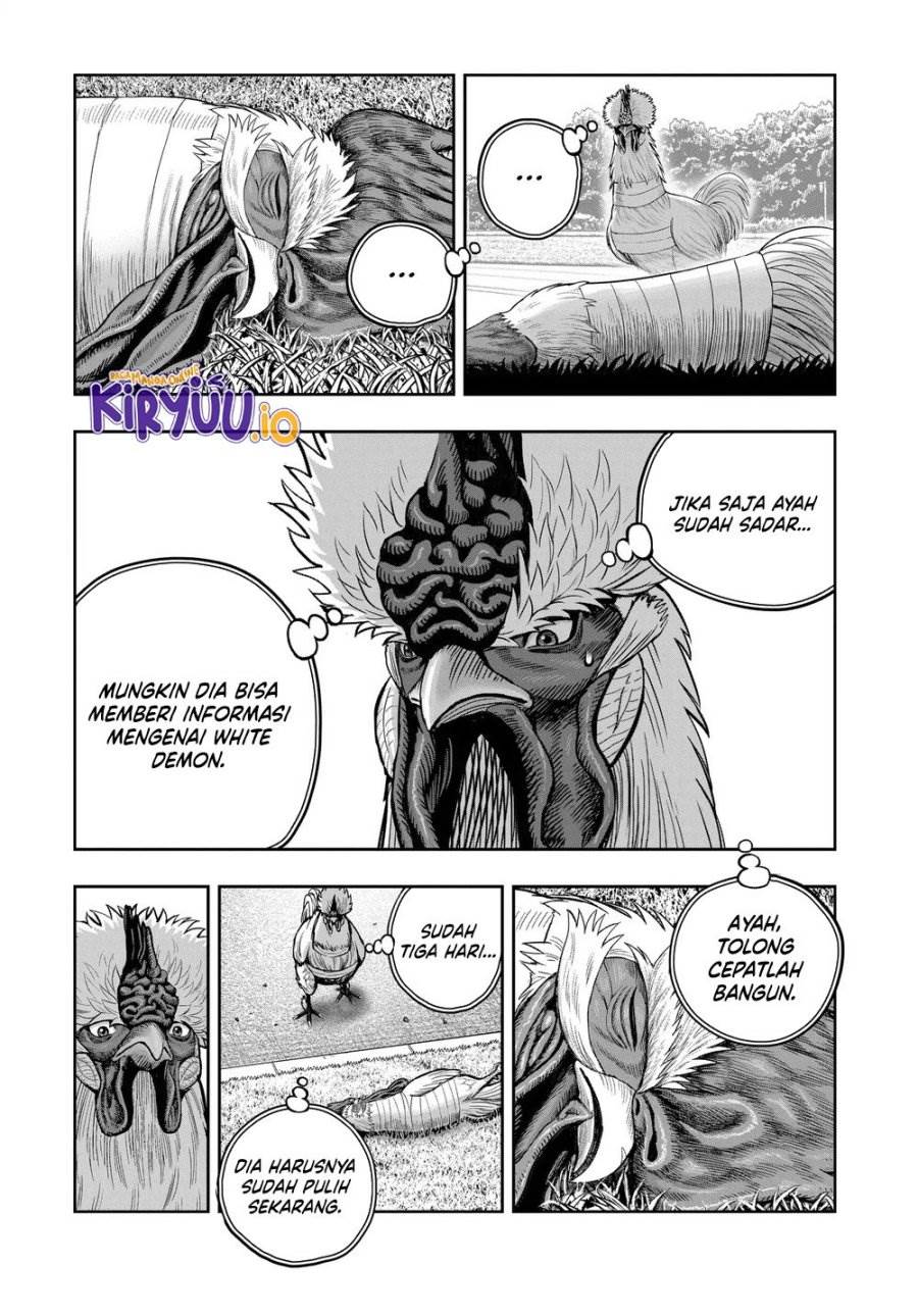 Rooster Fighter Chapter 34