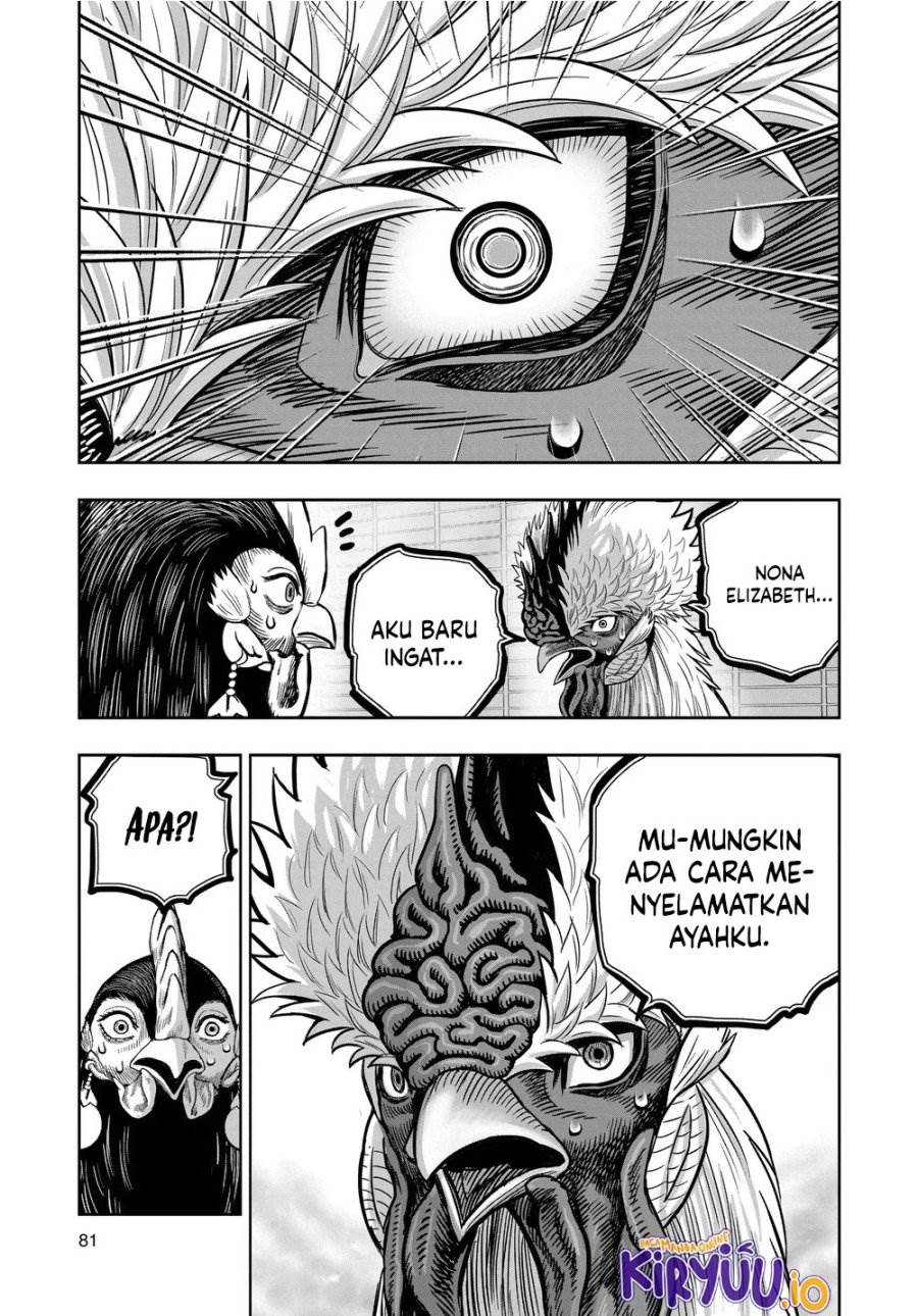 Rooster Fighter Chapter 34